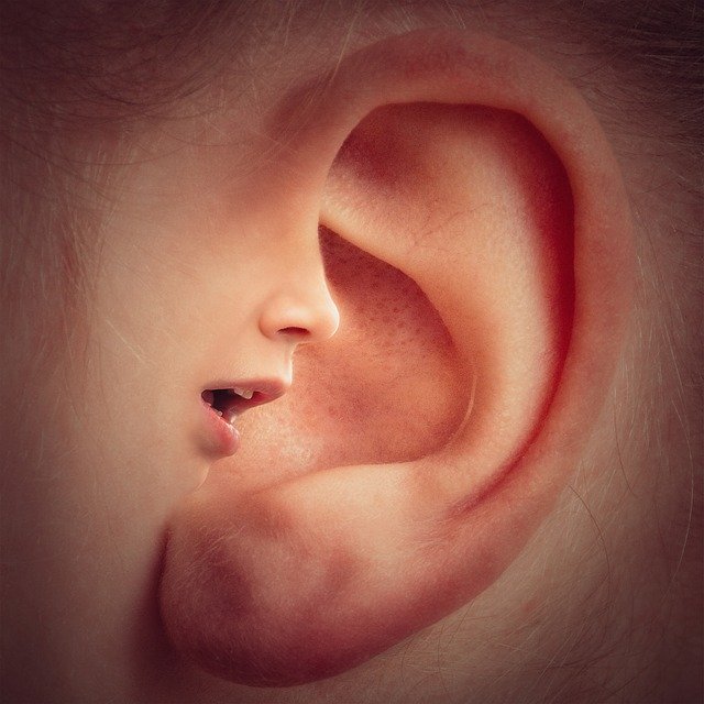 אינפקציה בחורים באוזניים